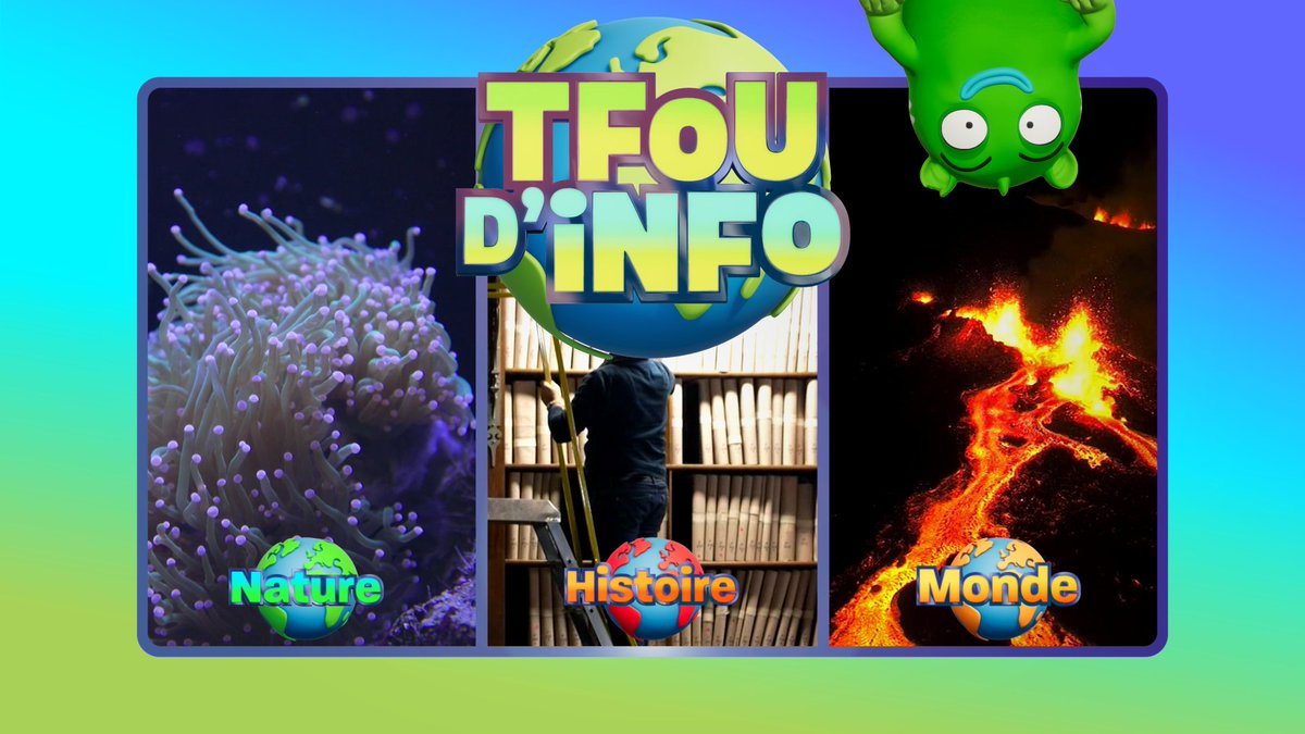 TF1Pro's tweet image. #TFOUdINFO
Le mag hebdo d'info, tout en images, pour les 6/12 ans

#NATURE : A la découverte des coraux
#HISTOIRE : L’Armoire de Fer
#MONDE : Piton de la Fournaise, volcan en éruption
#INFO HOOF : Qui dit printemps, dit changement d’heure

Mercredi 25 mars vers 11h50 @tfx