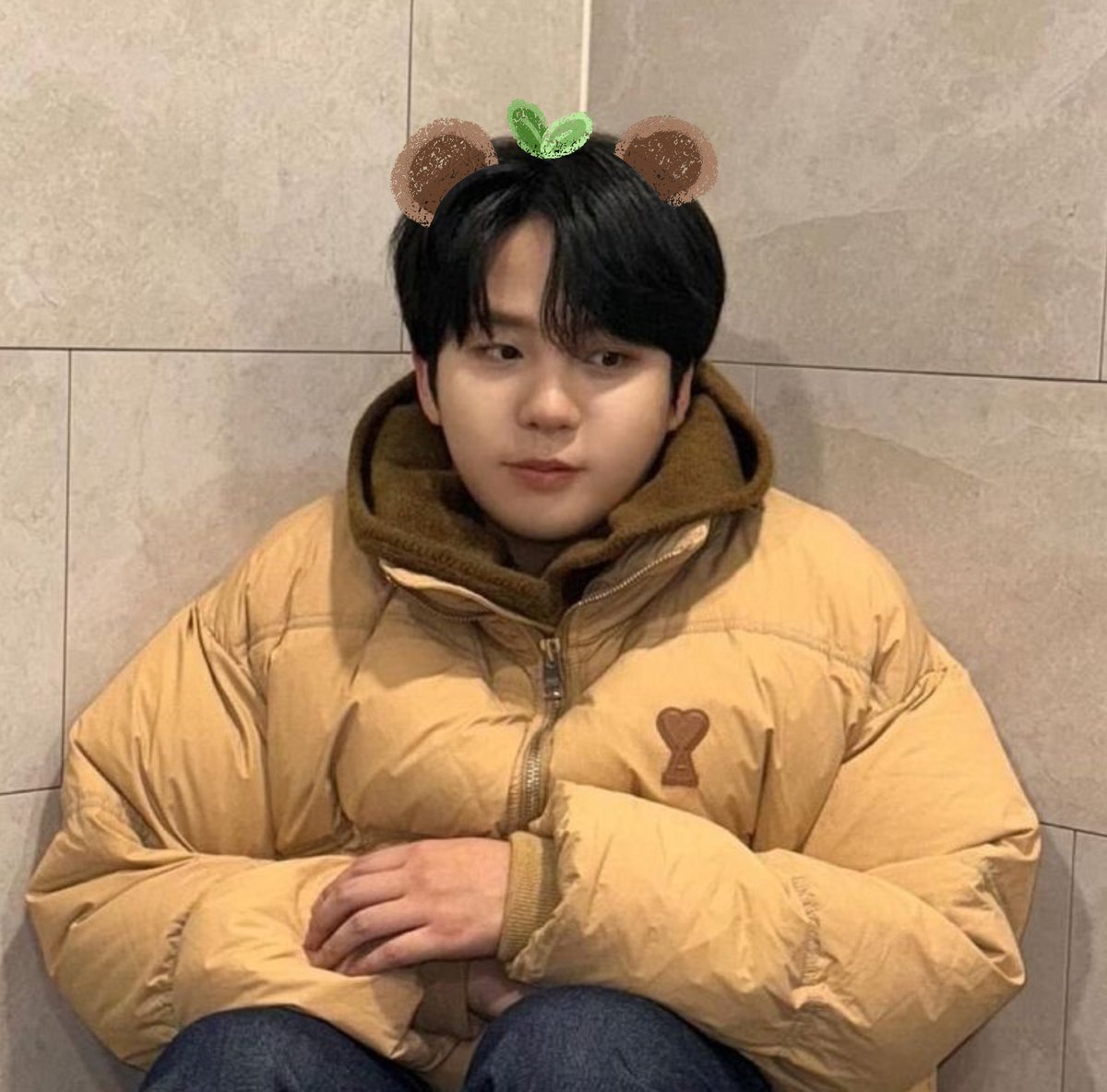 🌼🐻 tweet media