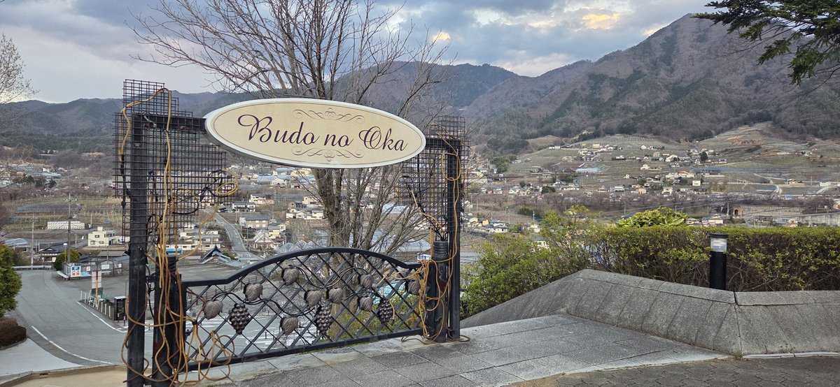 Alternative991 tweet media