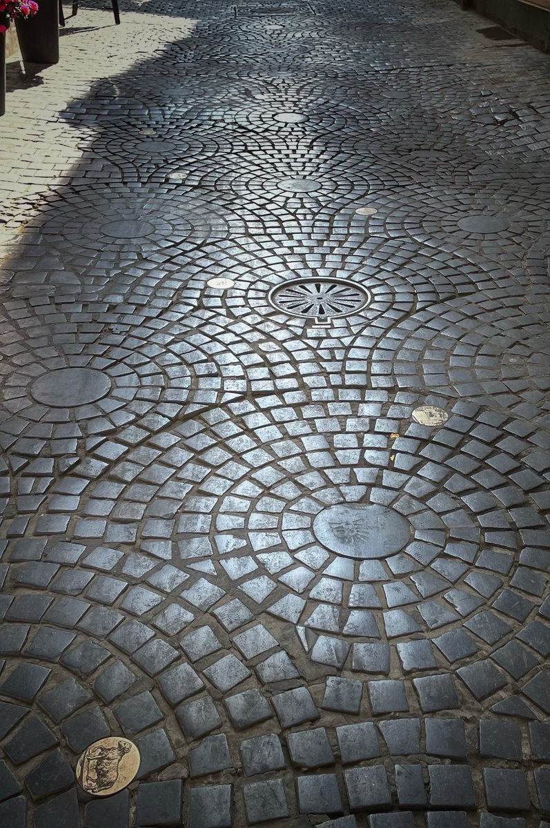 ALiSoleRo tweet media