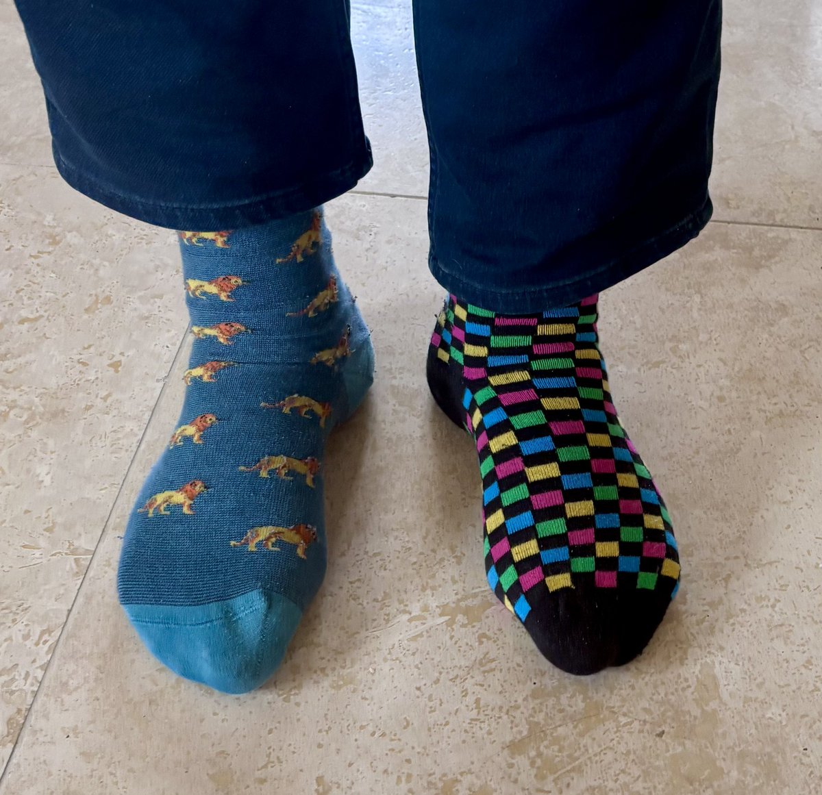 Cathal Lee tweet media