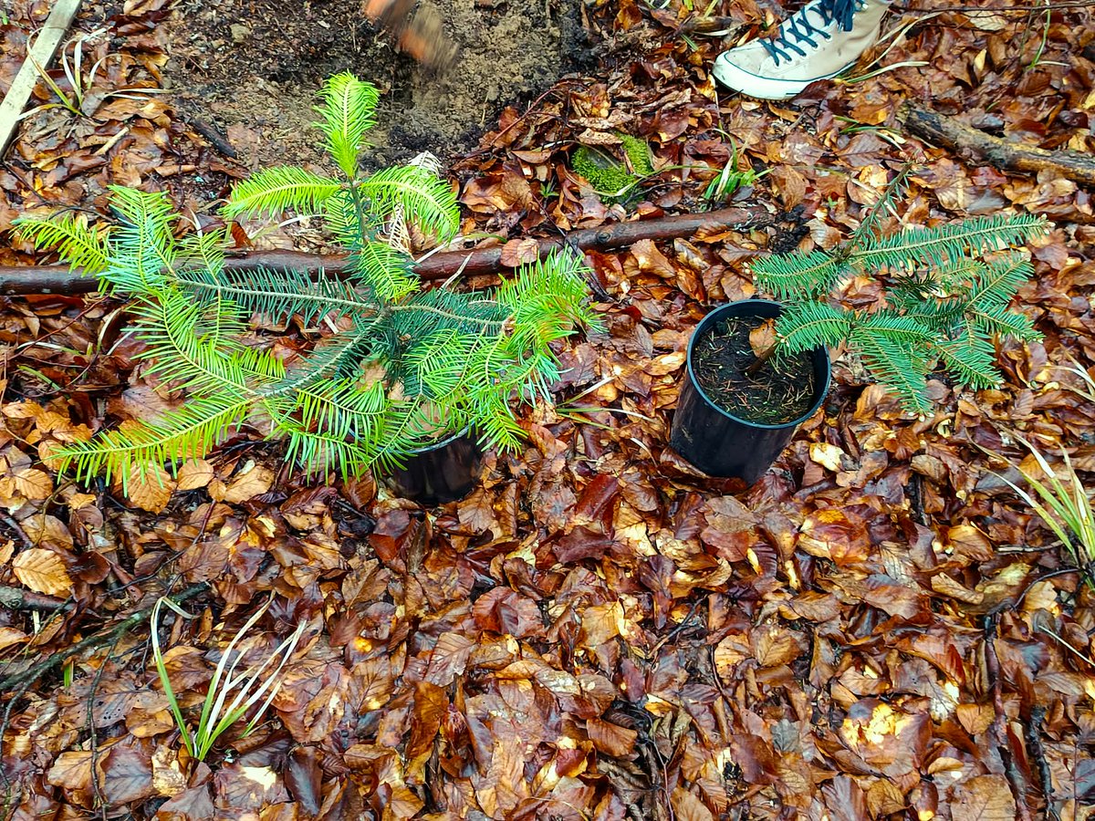 iRozhlas.cz jižní a východní Morava tweet media