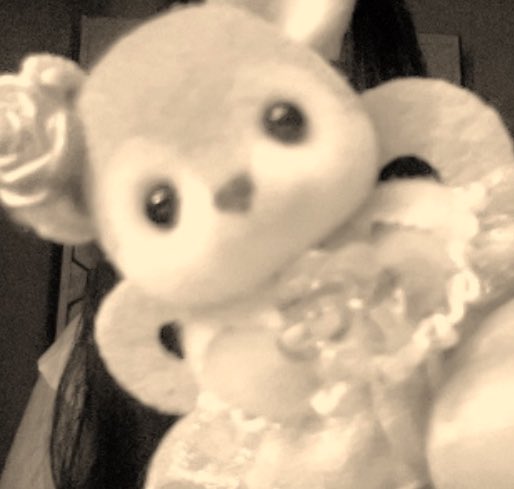 Eliana۫ ꣑ৎ tweet media