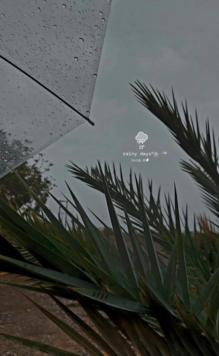 𝓐~10❤︎ tweet media