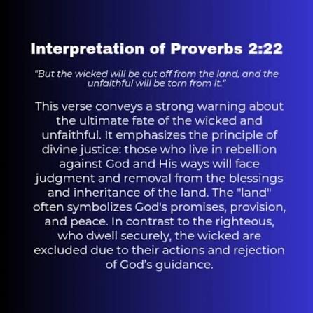 Team Trump tweet media