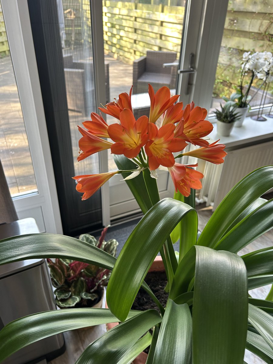 Pr. Geert-Jan tweet media