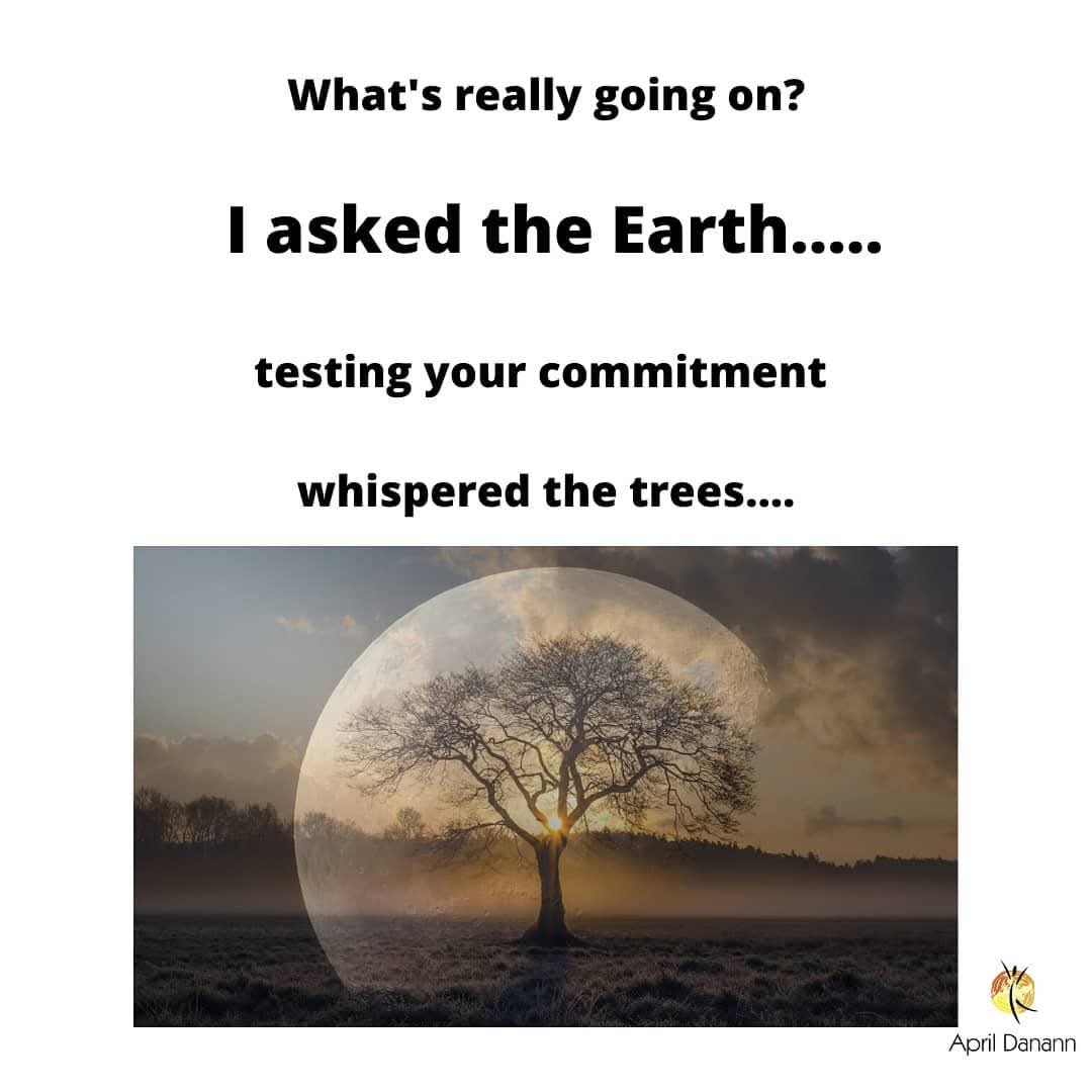 April Danann - Nature Rebel Apothecary tweet media