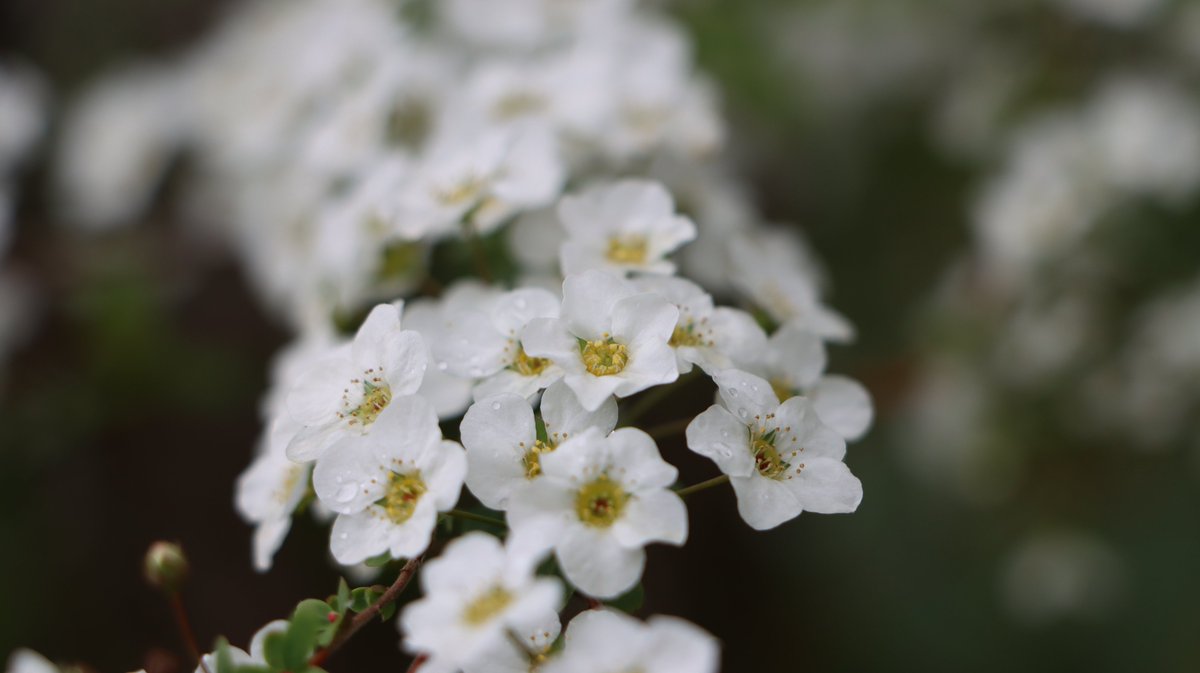 長居植物園 tweet media