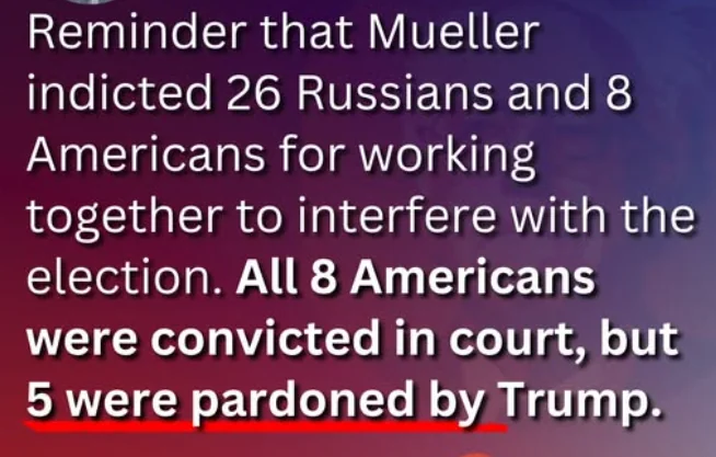 A Single Cell Short tweet media