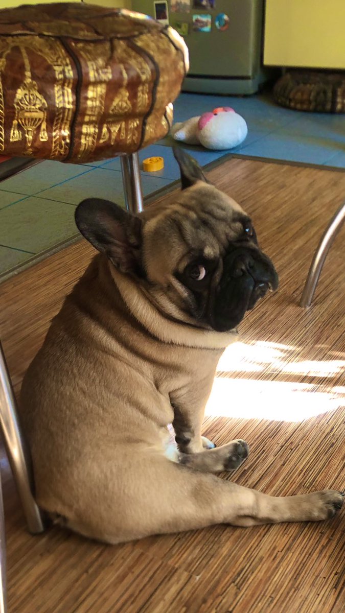 Инесса tweet media