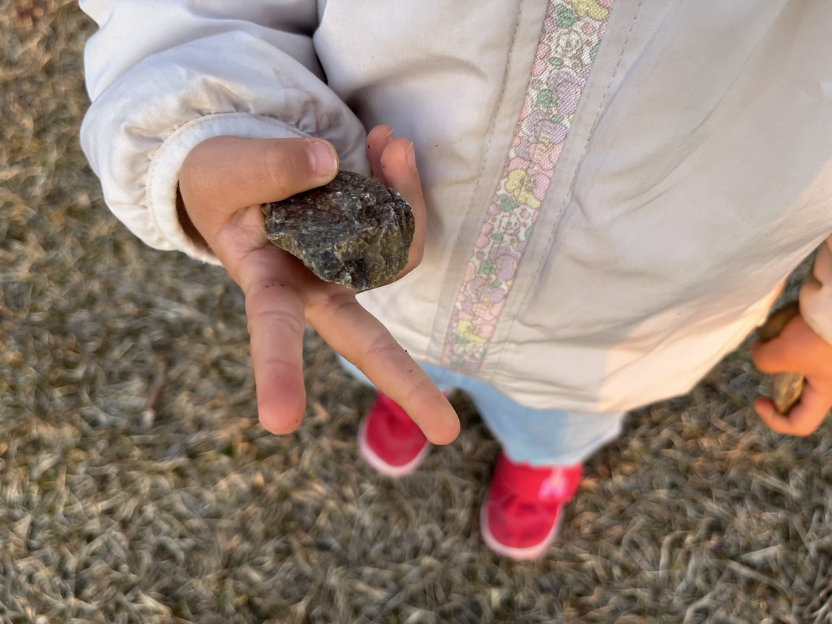 ウルフ99 tweet media