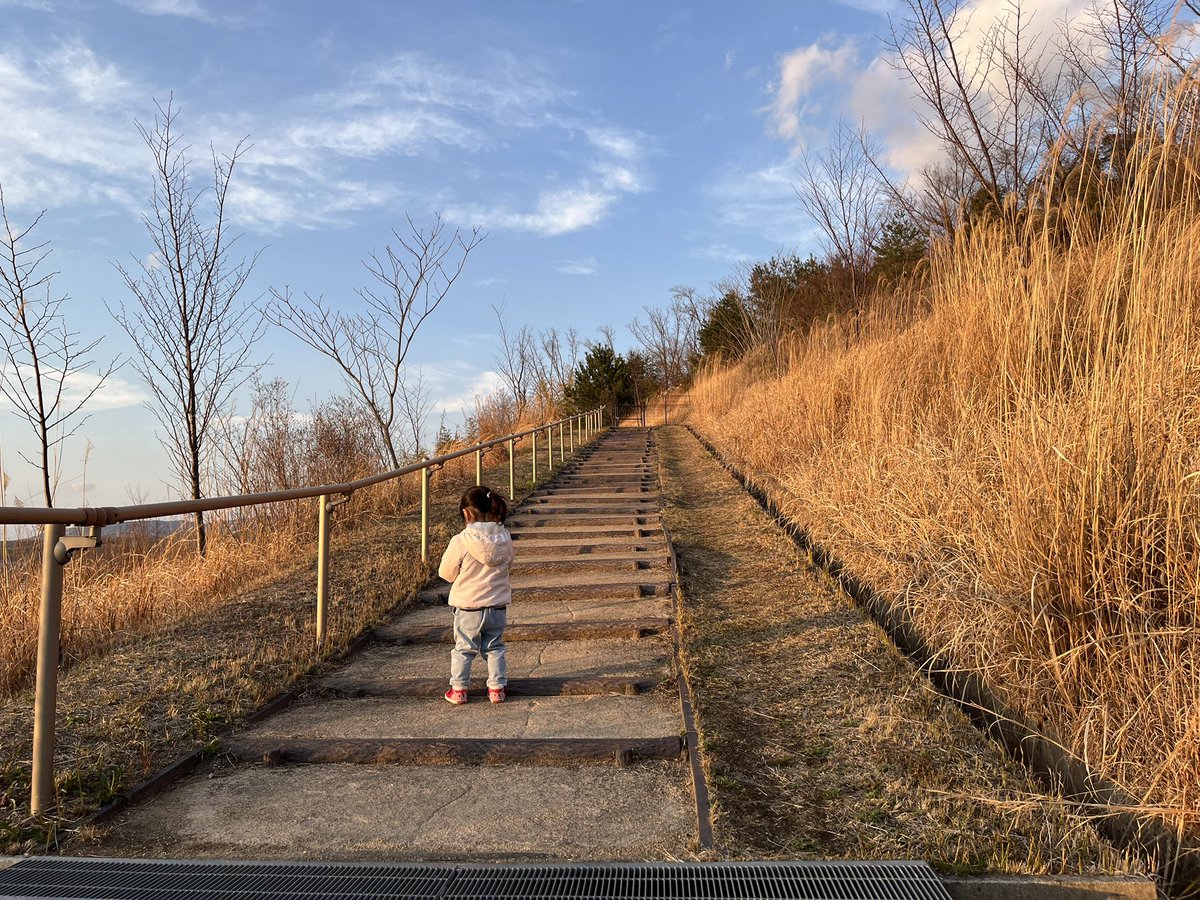 ウルフ99 tweet media