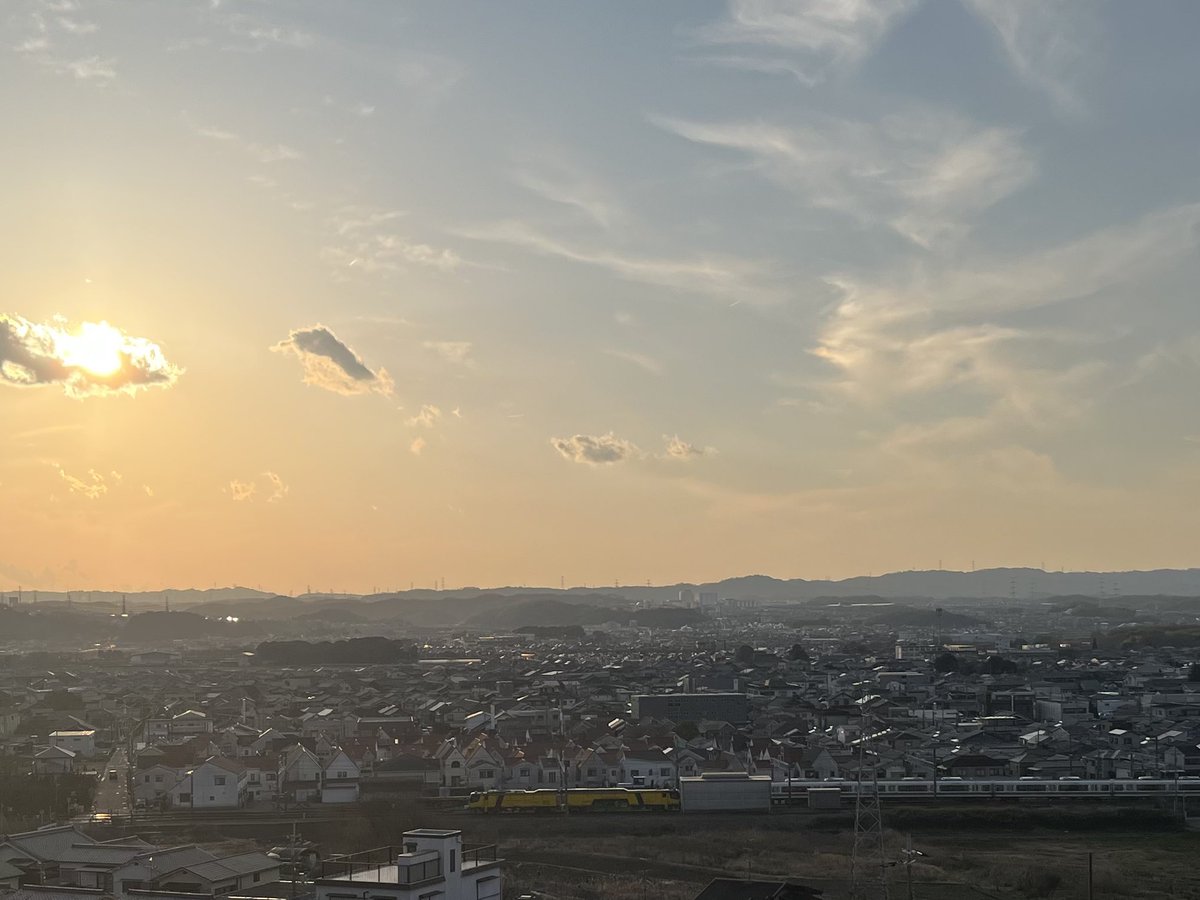 ウルフ99 tweet media