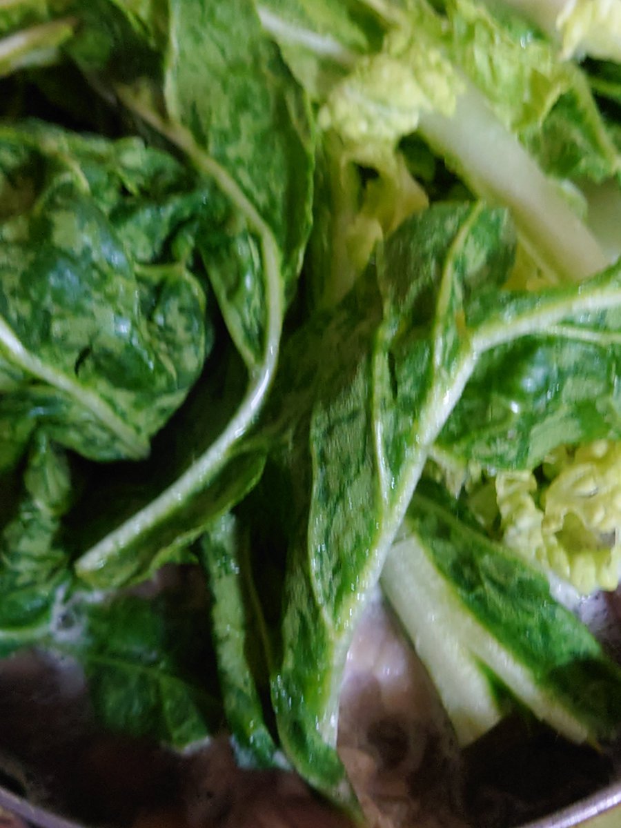 ころり (っ˙˘˙)っｺﾛｺﾛ tweet media