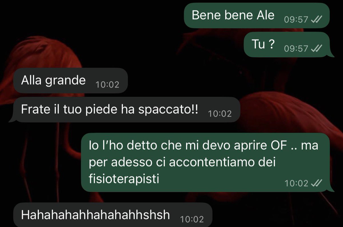 Zoloft_12 tweet media