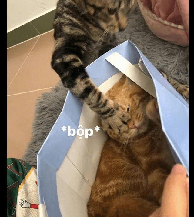 Rickey J. Woodley tweet media