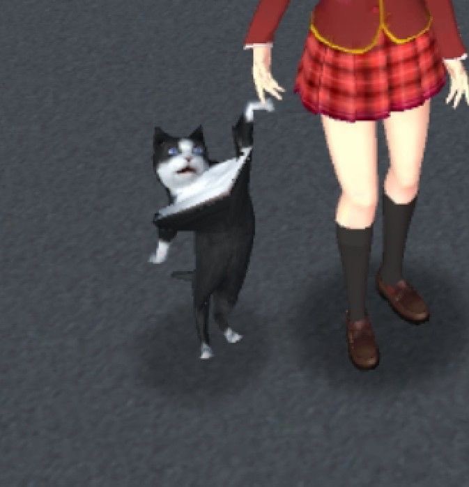 시몽키 tweet media