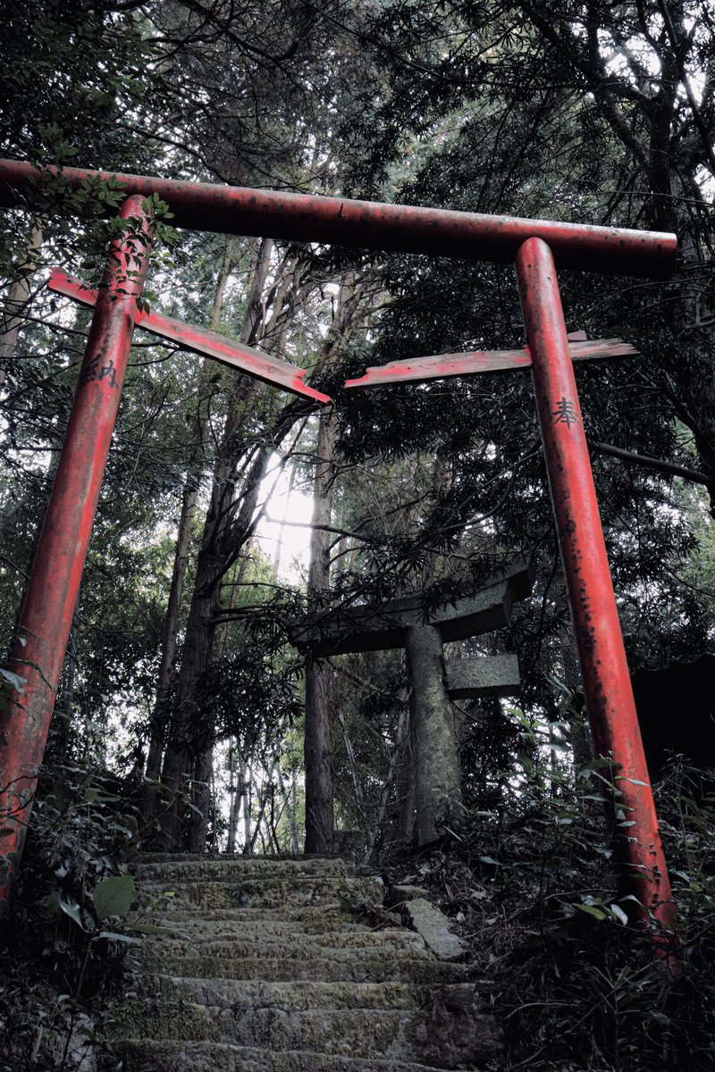 しどろ tweet media