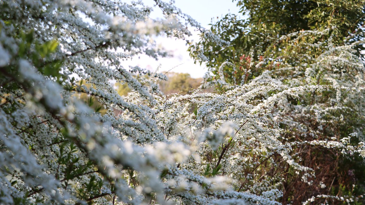 長居植物園 tweet media