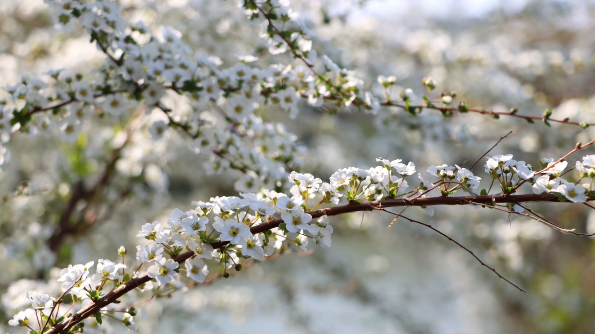 長居植物園 tweet media
