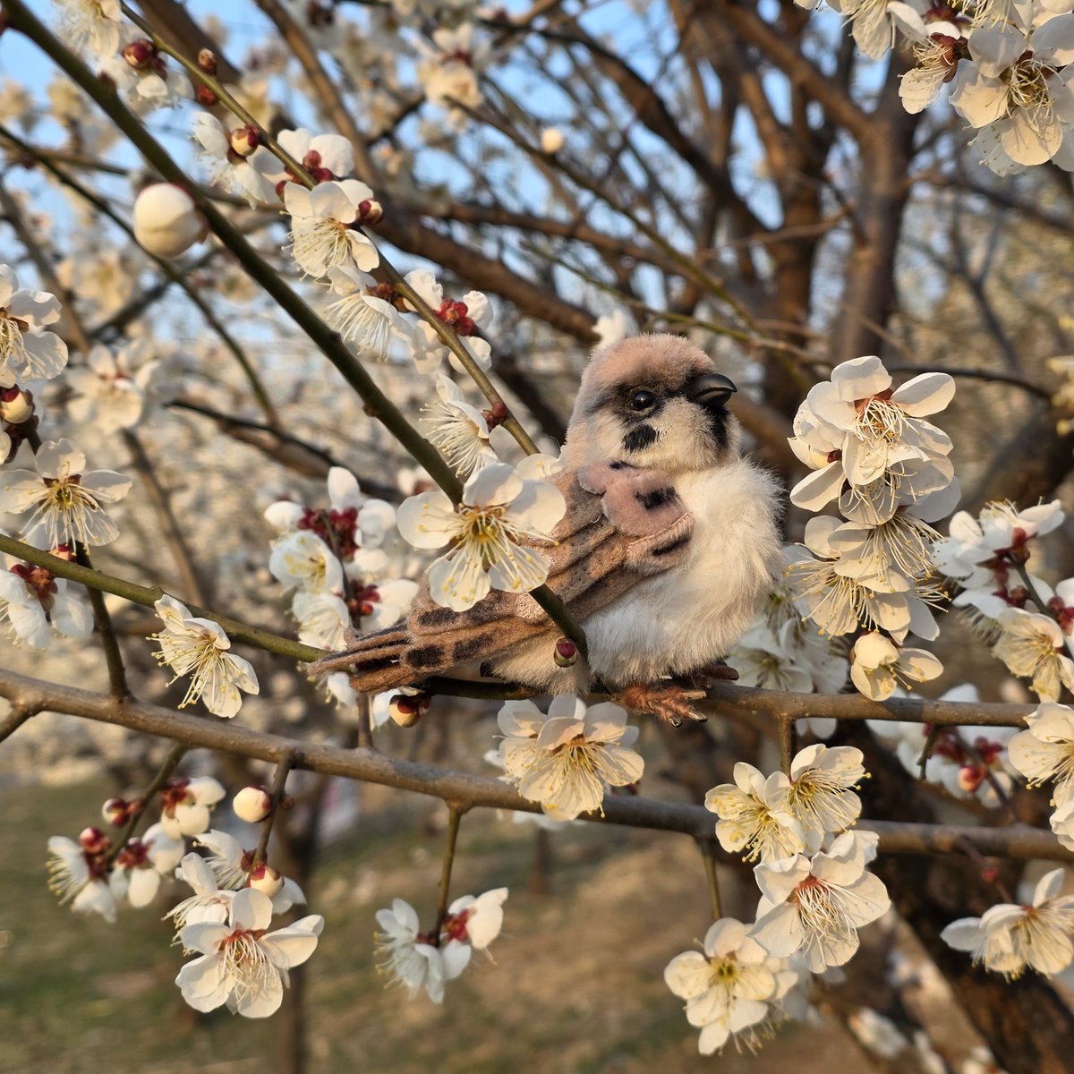 ์์ํ ์ธํ๊ณต๋ฐฉ๐ tweet media