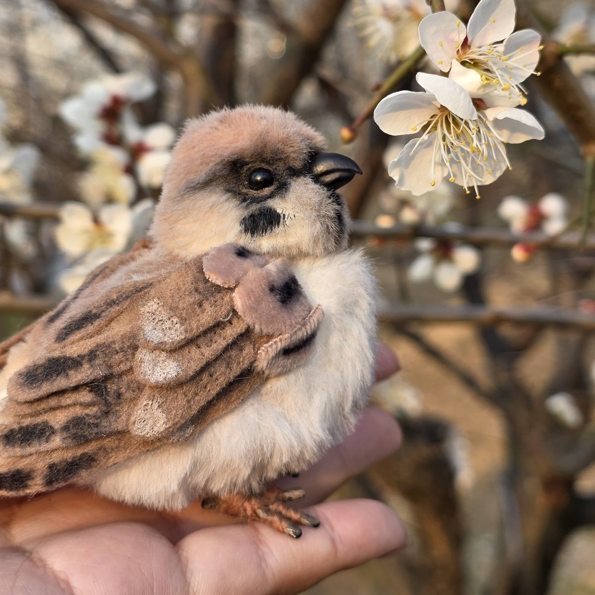 ์์ํ ์ธํ๊ณต๋ฐฉ๐ tweet media