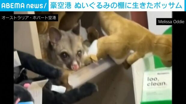 ライブドアニュース tweet media