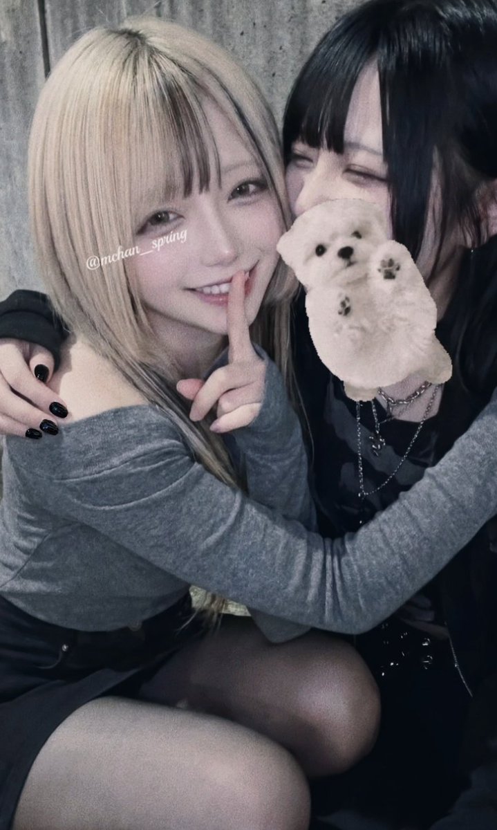 Mちゃん tweet media