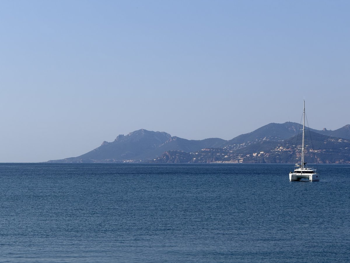 POPEYE 🐟 tweet media