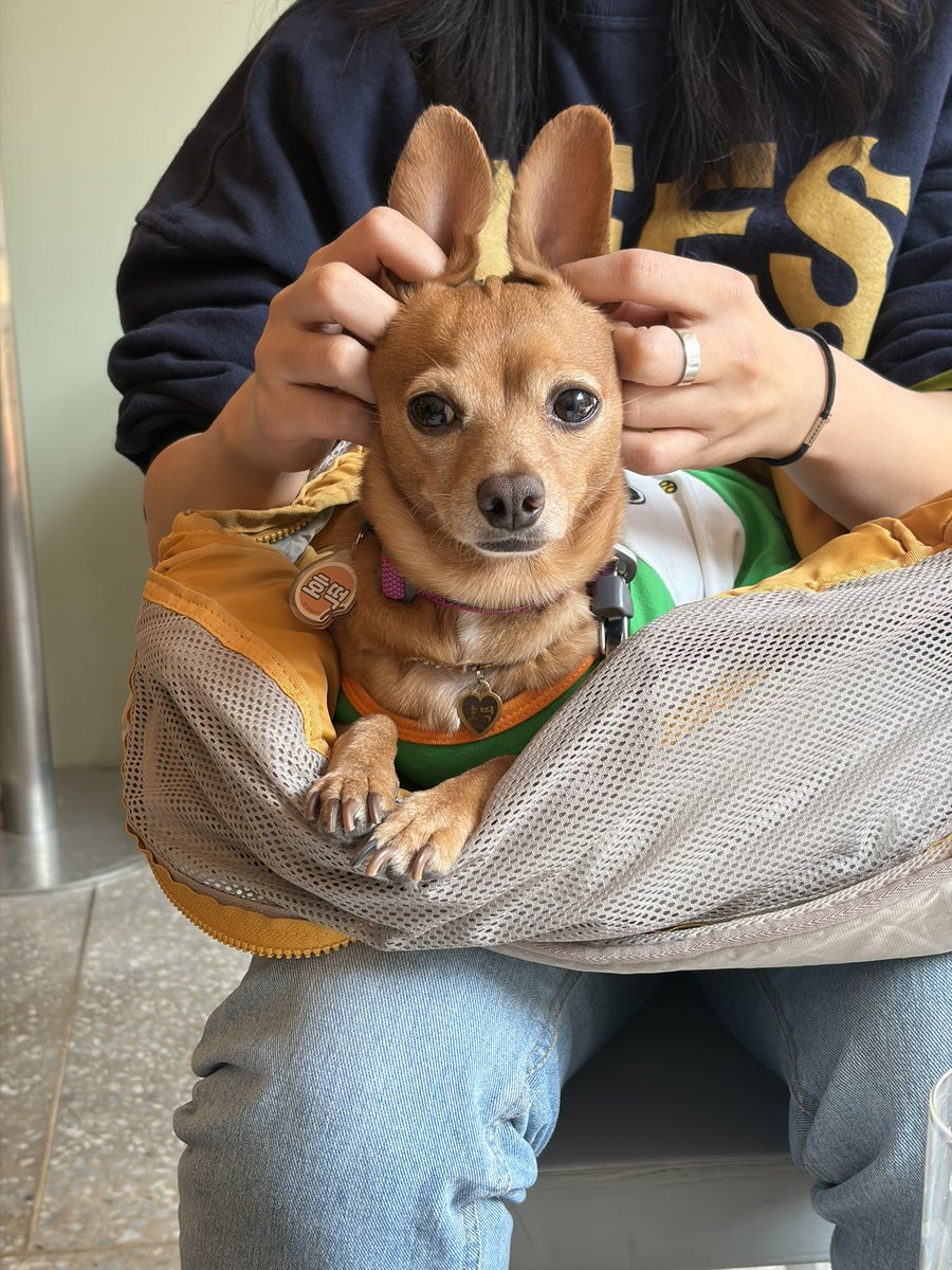 개팔자호떡팔자 tweet media