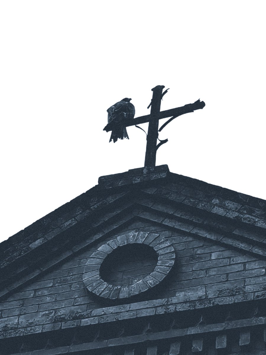 tiwaeo_art tweet media