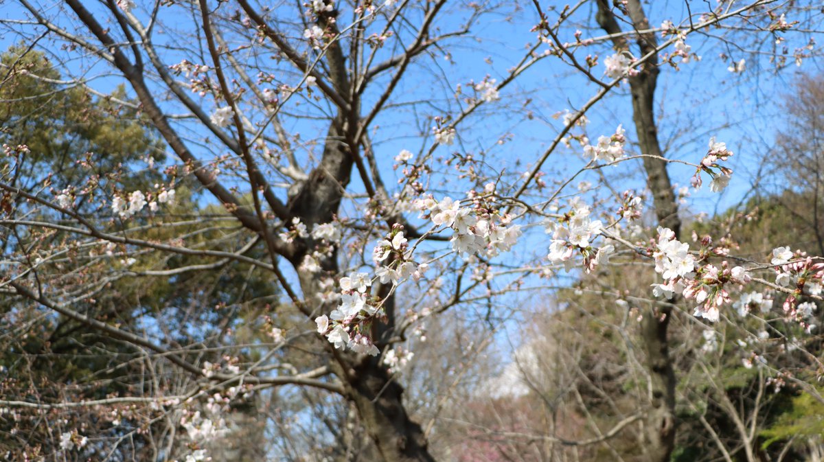 長居植物園 tweet media