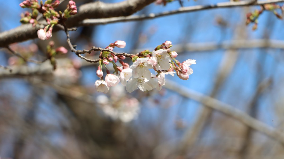 長居植物園 tweet media