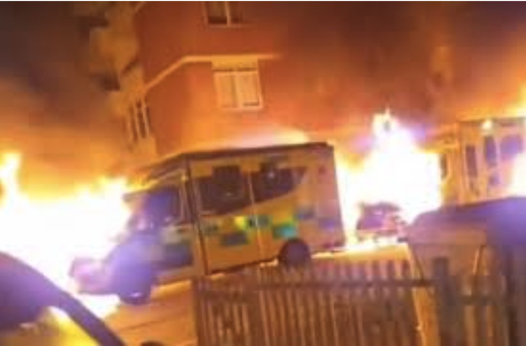 Ashley Rindsberg tweet media