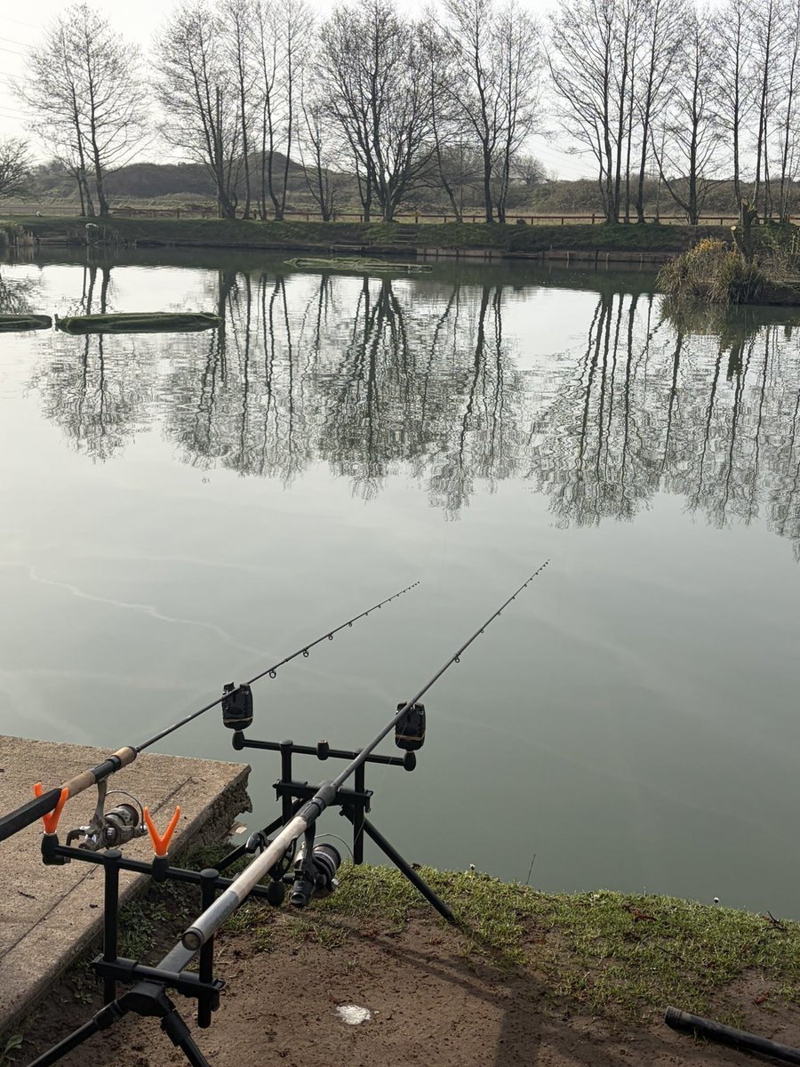 FishingTheMind CIC🎣🧠 ®️ tweet media