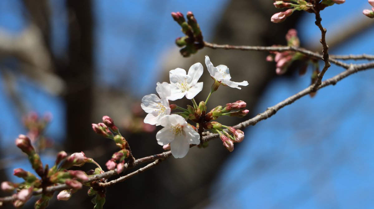 長居植物園 tweet media