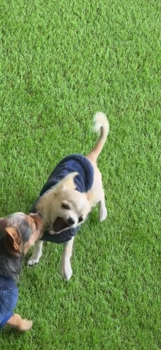 合同会社エースプランニング tweet media