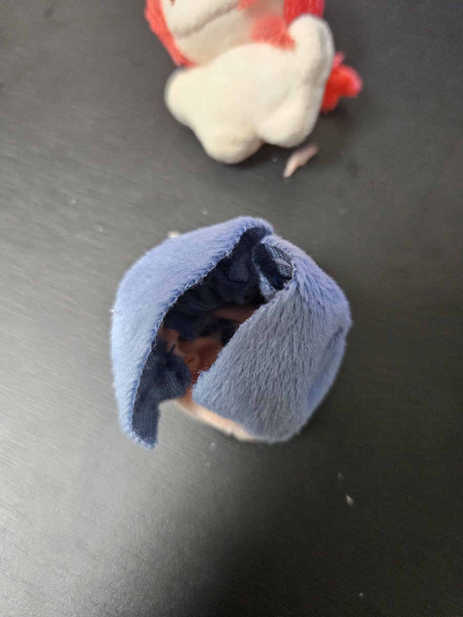 두팔뗍 tweet media