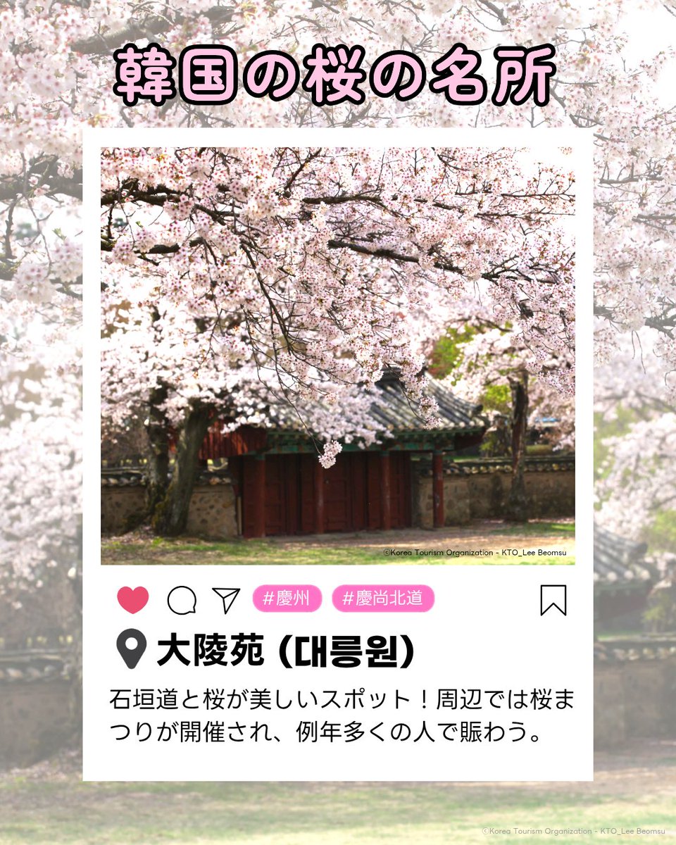 駐日韓国文化院 주일한국문화원 tweet media