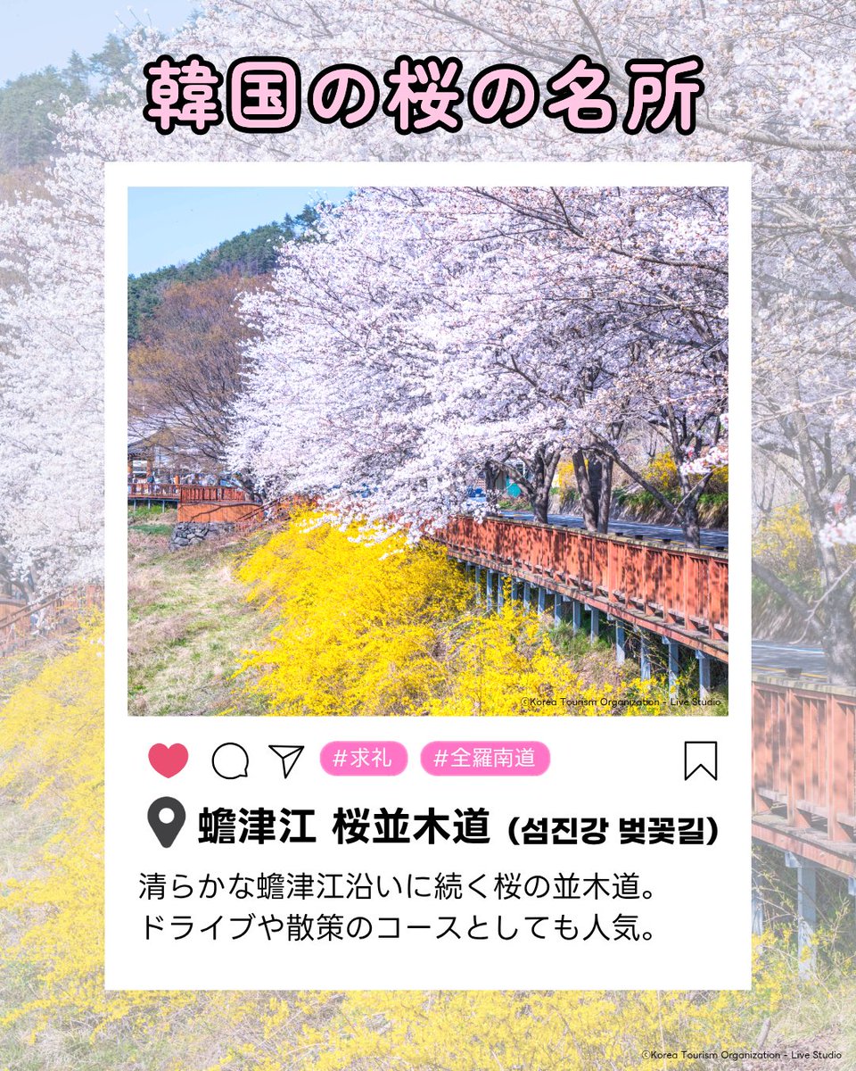 駐日韓国文化院 주일한국문화원 tweet media