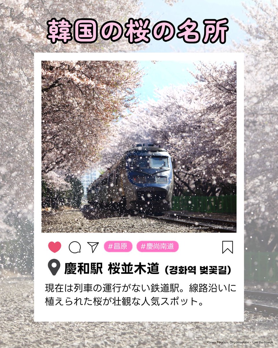 駐日韓国文化院 주일한국문화원 tweet media