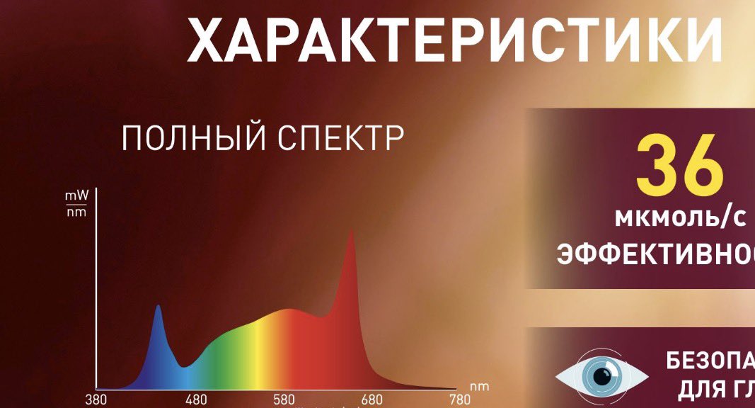 Денис Игнатов tweet media