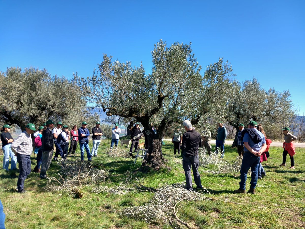 Escola Agrària del Pallars tweet media