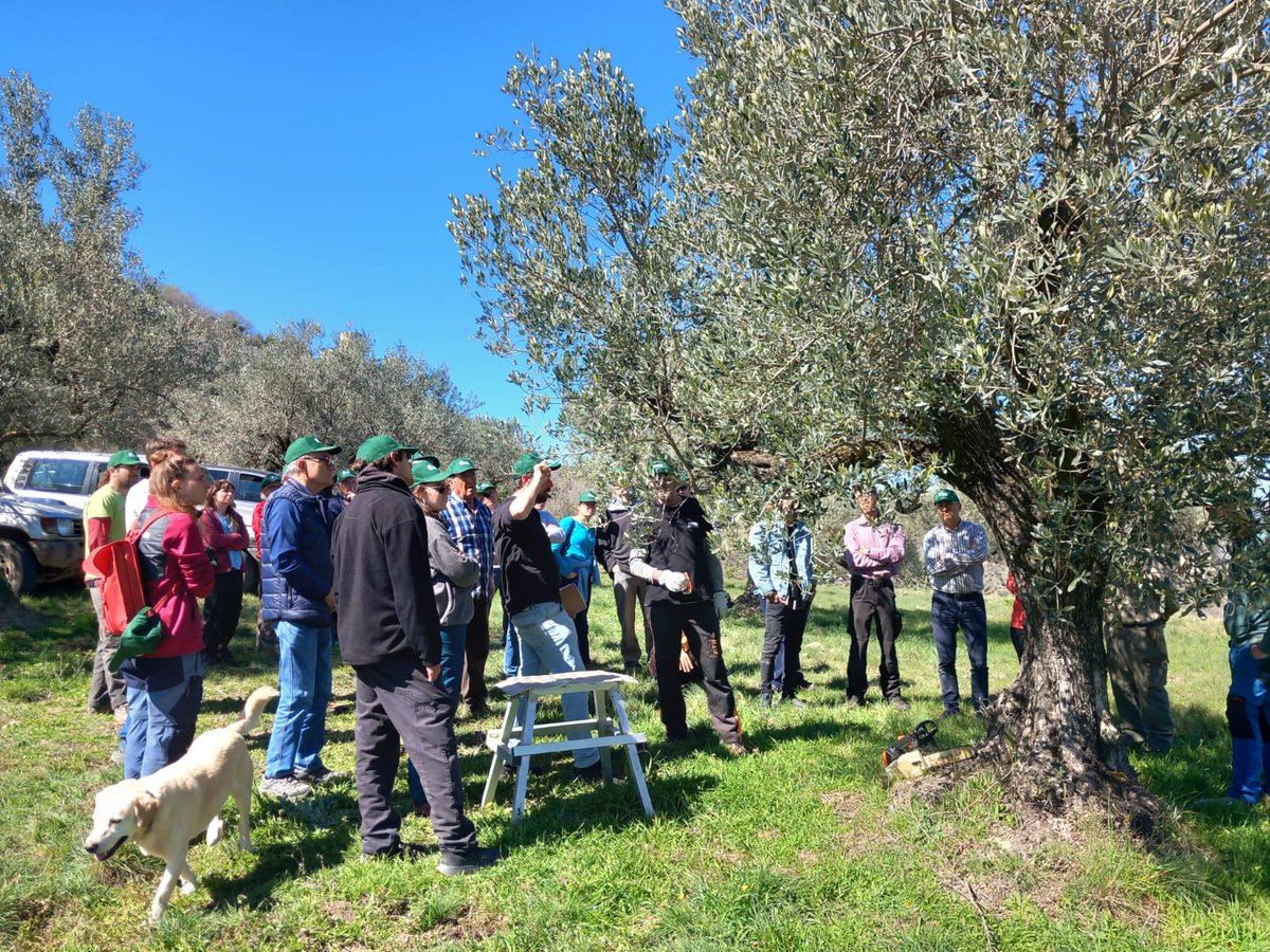 Escola Agrària del Pallars tweet media
