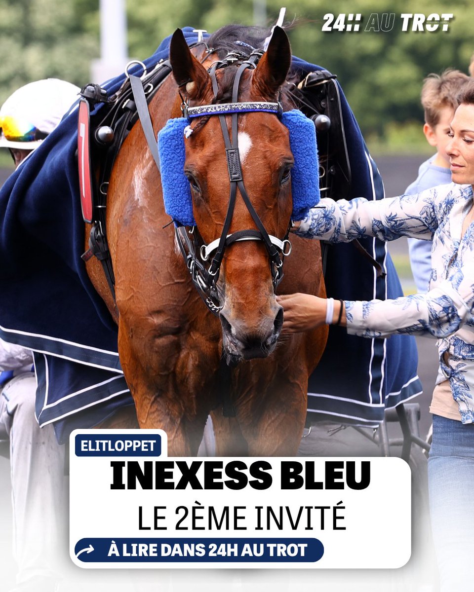 Province Courses / 24H au trot tweet media