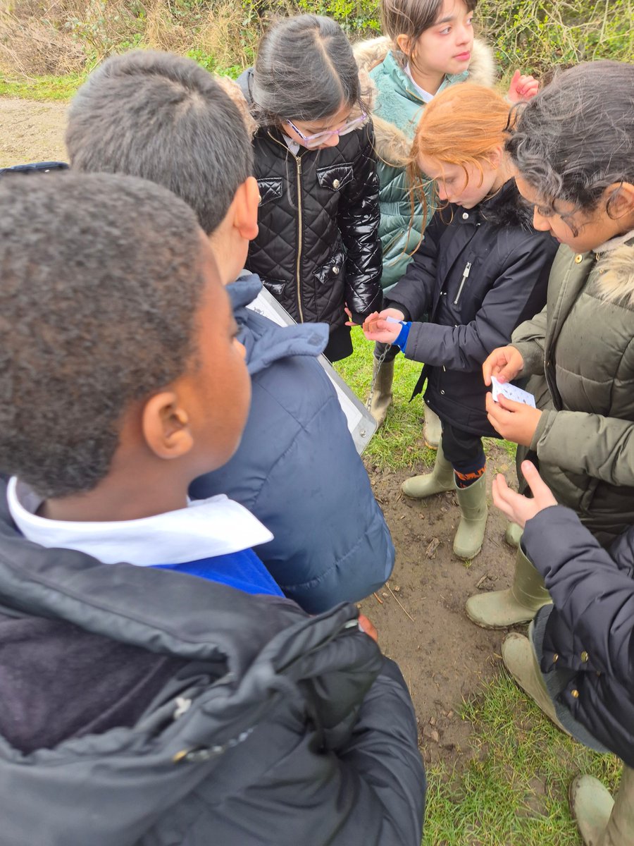 Lift Feversham tweet media