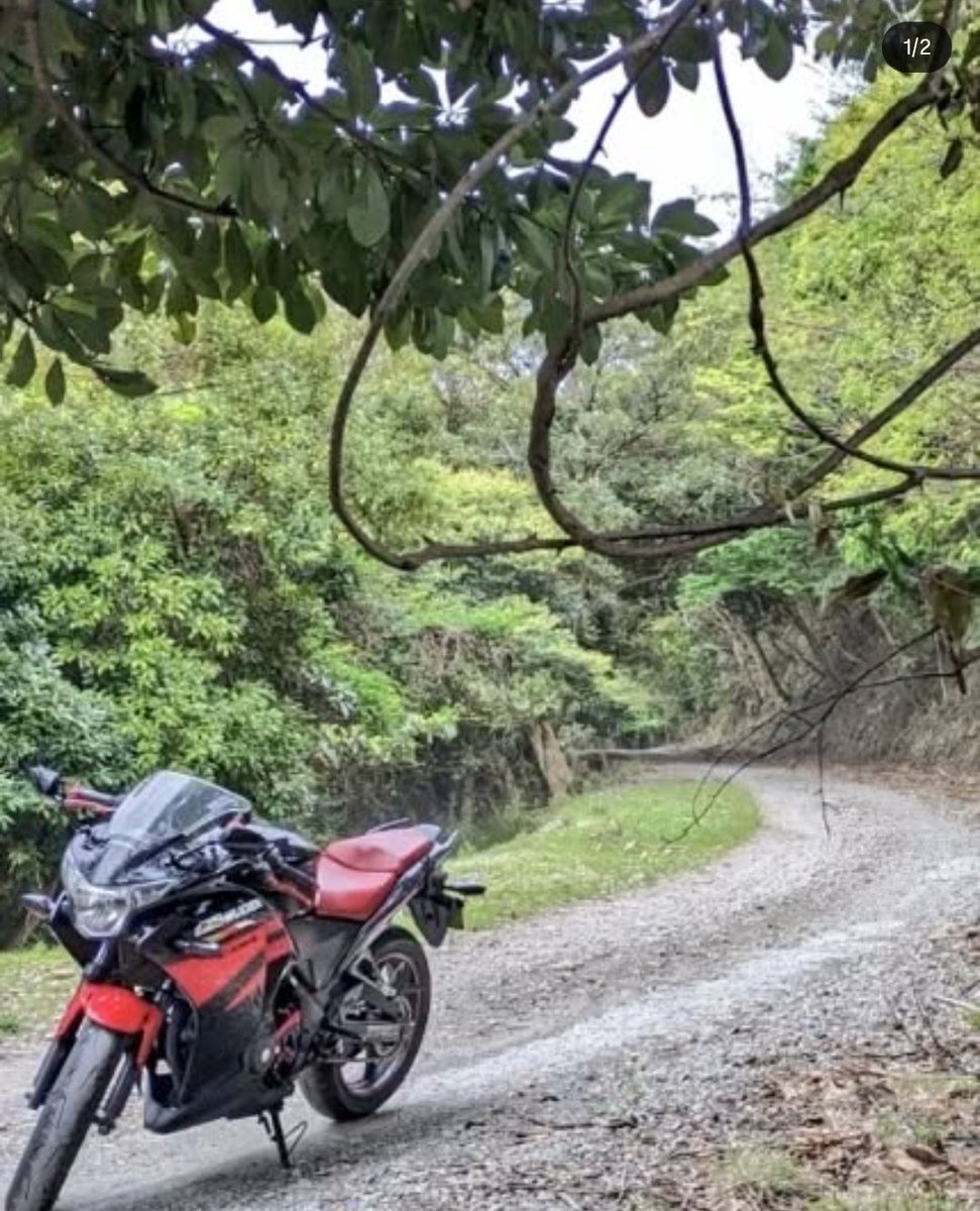 たまご tweet media