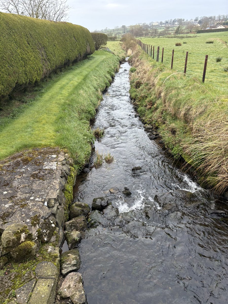 drjulespsych's tweet image. Head cleared for another Monday 
🏃🏻‍♀️

Perinatal clinical  &amp;amp; ward cover @NHSCTrust 
PSW stuff @_NIMDTA 
Few @rcpsych meetings 

#BringItOn #LetsDoThis #WouldHateToBeBored #Hope #Creation #Running #NotSureWhyOliveWasOnTheTable