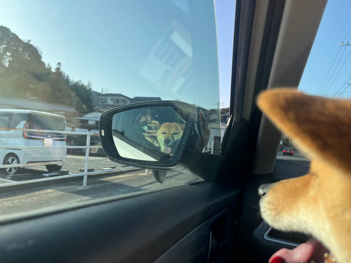 🌞 (@poprisun) on Twitter photo 