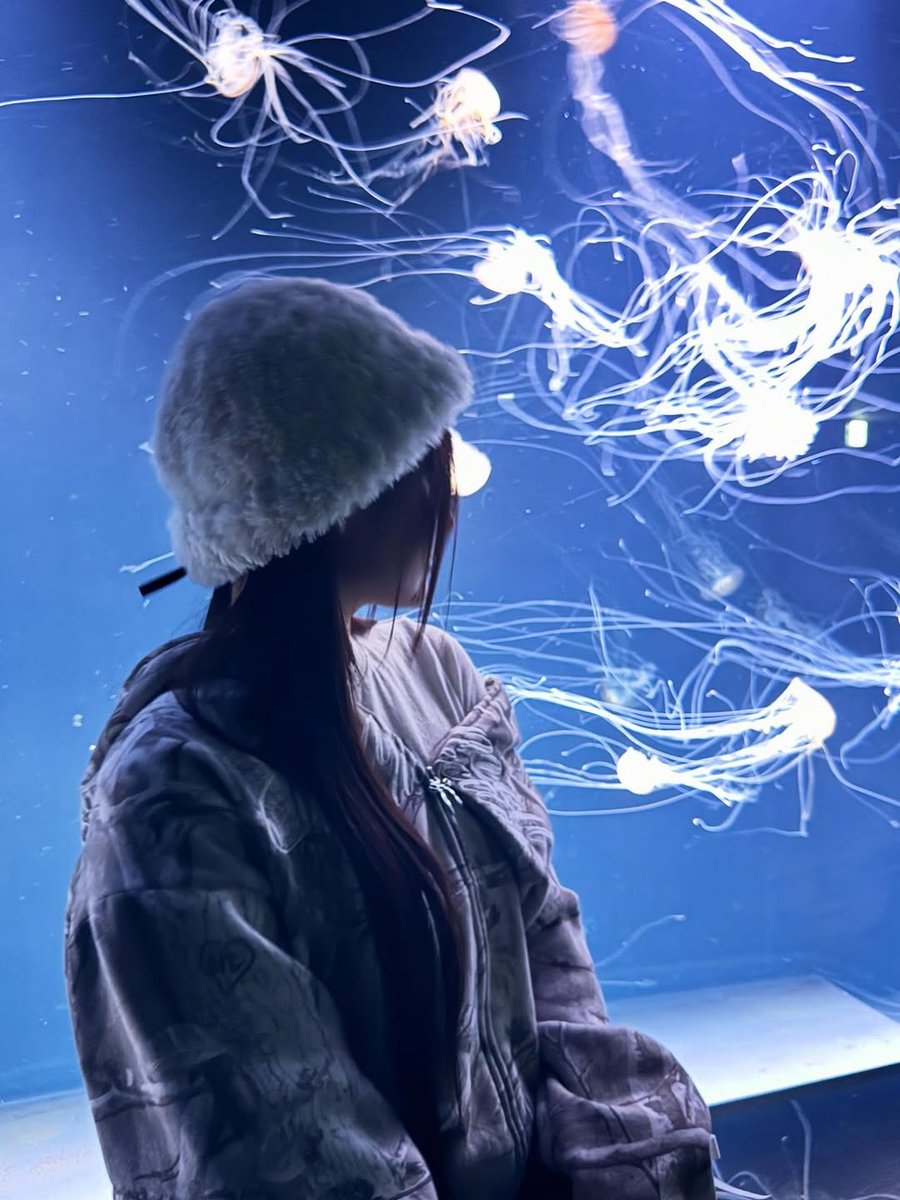 FIFTY FIFTY BASE tweet media